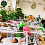 Review Trung Tâm Ở Cữ Cao Cấp Sau Sinh Khu Vực Hà Nội